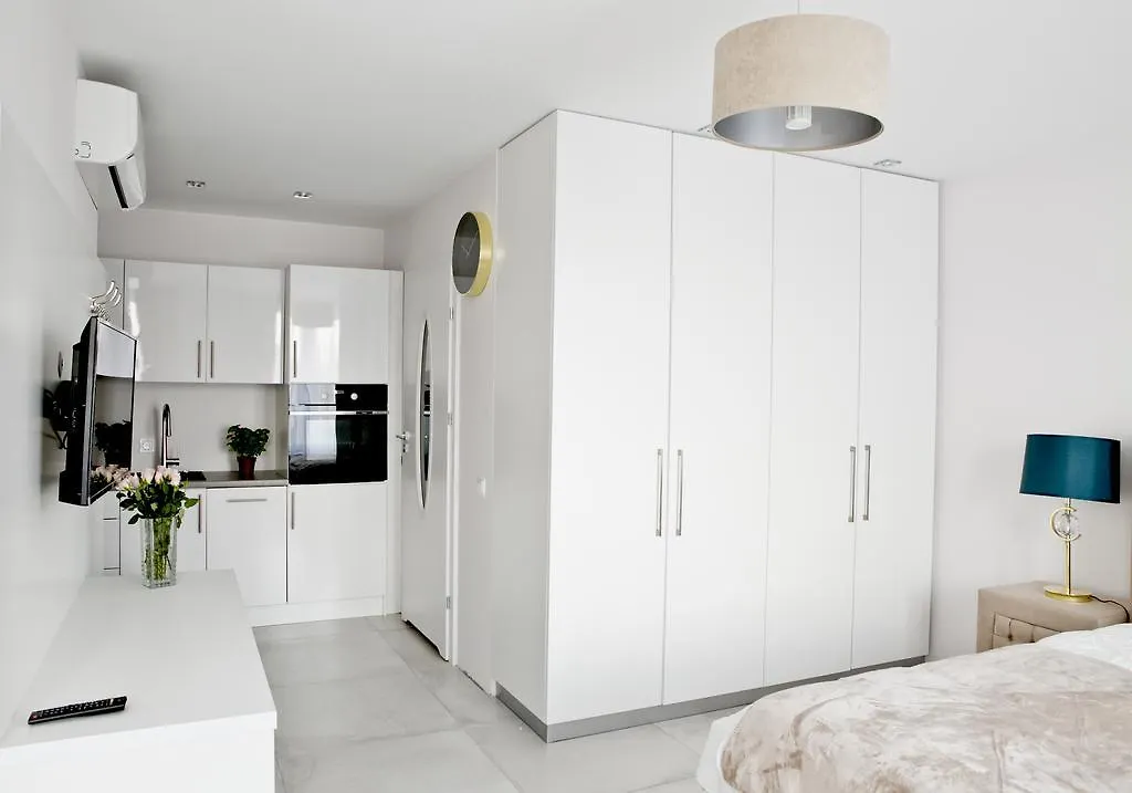 Elegant City Center Apartment 7A Krasków